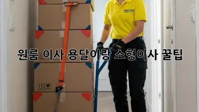 원룸 이사, 용달이랑 소형이사 꿀팁!