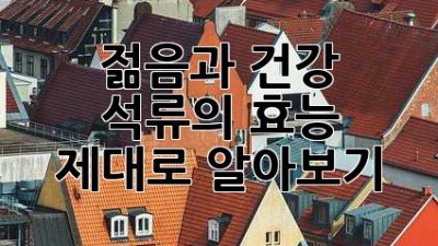 젊음과 건강! 석류의 효능 제대로 알아보기